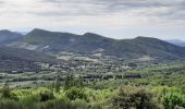 Tour Wandern Roche-Saint-Secret-Béconne - Roche St Secret Le Mont Rachat 13Km - Photo 7