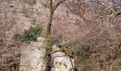 Tour Wandern Rocamadour - Rocamadour  - Photo 1