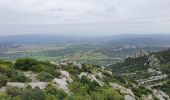 Excursión Senderismo Aureille - la tour des Opies - Photo 5