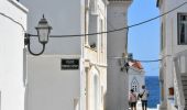 Tocht Te voet Unknown - Andros Routes 2 - Photo 3