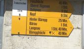 Randonnée A pied Trubschachen - Wiggen - Trubschachen - Photo 3