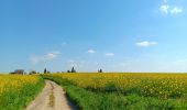 Tour Wandern Braives - entre Burdinale et Mehzigne via Fumal, Marneffe et Huccorgne - Photo 13