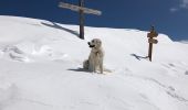 Tour Schneeschuhwandern Belvédère - Baisse de Ferisson - Photo 5