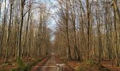 Percorso Marcia Freulleville - Le manoir du val forêt d'Eawy - Photo 2