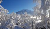 Randonnée Raquettes à neige Sarcenas - Le  Mont Fromage et ses crêtes - Photo 14