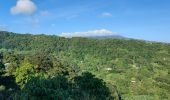 Trail Walking Le Lorrain - Boucle Vallon - Moreau - Carabin - Chemin Etoile - Photo 12