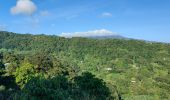 Excursión Senderismo Le Lorrain - Boucle Vallon - Moreau - Carabin - Chemin Etoile - Photo 12