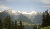 Trail On foot Ahrntal - Valle Aurina - IT-10A - Photo 5