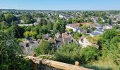 Excursión Senderismo Amboise - Amboise - À la découverte des trésors cachés - Photo 16