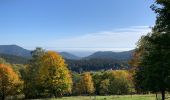 Tocht Stappen Fréland - Aubure - Photo 4