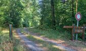 Tour Elektrofahrrad Saint-Clément - sortie vtt du 31082022 forêt de parroy - Photo 3