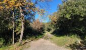 Tocht Stappen Fayence - Fayence. Le circuit des trois chapelles  - Photo 13