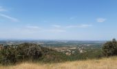 Trail Walking Montesquieu-des-Albères - dans les environs de Montesquieu  - Photo 18