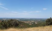 Randonnée Marche Montesquieu-des-Albères - dans les environs de Montesquieu  - Photo 18