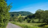 Percorso A piedi Scheßlitz - Rundwanderweg Scheßlitz B 