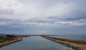 Excursión Cicloturismo Saintes-Maries-de-la-Mer - Stes Maries de la Mer  -  Sète - Photo 14