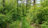 Trail Walking Durbuy - Petit-Han ... l Trail Walking Durbuy - Petit-Han ... l