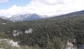 Tocht Noords wandelen Villard-de-Lans - gorges de la Bourne - Photo 2