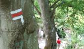 Trail Walking Les Andelys - 20200521 GR2 Les Andelys - Photo 2