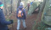 Trail Walking Fontainebleau - rocher d'Avon 13 janvier 2023  - Photo 17