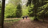 Trail Walking Nassogne - Grune - Photo 5