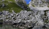 Tocht Stappen La Chapelle-d'Abondance - lac Badon depuis Bises - Photo 3