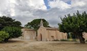 Tocht Stappen Le Revest-les-Eaux - Boucle: La ripelle - Source de la ripelle - Le Chateau de Tourris - Les grottes de sable - La carrière aux fourmis - Les puits renovés de M. Lambicchi - Les ruines des Olivières - La ferme de la Touravelle - à Le Revest-les-Eaux - Photo 12