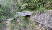 Percorso Marcia Saint-Cézaire-sur-Siagne - Le canal et la rivière de la Siagne  - Photo 17