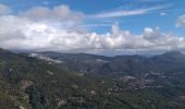 Tocht Stappen Ollioules - cap gros par les 2 ballons +grotte croupatier - Photo 2