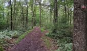 Tocht Stappen Luik - autour du domaine universitaire  - Photo 12