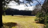 Tour Wandern Büllingen - Rocher du Bieley   - Photo 2