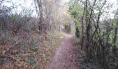 Trail Walking Voeren - balade fouronnaise saint pierre - Photo 11