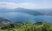 Trail Walking Annecy - 260523 Monr Veyrier - Photo 9