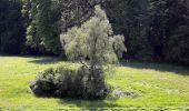 Tour Zu Fuß Dänikon - Altberg - Dällikon - Photo 2