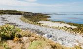 Randonnée Marche Île-Molène - Petit Tour de Molène - Photo 4