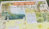 Trail Trail Saint-Claude - Beausoleil  - Photo 5