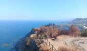 Trail Walking Banyuls-sur-Mer - cap del troc . coll de gran bau . cap réderis . retour par le chemin du littoral  - Photo 9