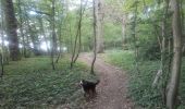 Tour Wandern Andenne - 20190702 Kevret - Photo 9