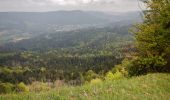 Tour Zu Fuß Gomadingen - Hörnle-Tieringen-Plettenberg - Photo 4