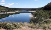 Tocht Stappen Verdun-en-Lauragais - Rando BDM-Cammazes-BDM - Photo 2