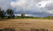 Trail Walking Brunehaut - Les pommes - Photo 1