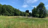 Tour Wandern Écromagny - Plateau des milles étangs  - Photo 5