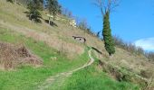 Tour Wandern Weset - montagne st pierre 12 km7oo - Photo 2