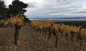 Randonnée Marche Narbonne - La Clape - Trou de la Crouzade - Photo 15