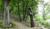 Percorso Marcia Saint-Mélany - Sentier des Lauzes 17km - Photo 1