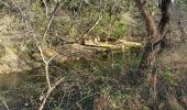 Randonnée Marche Le Thoronet - Le Thoronet- Canal de Ste Croix - Argens - Photo 9