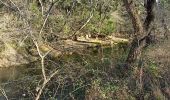 Tocht Stappen Le Thoronet - Le Thoronet- Canal de Ste Croix - Argens - Photo 9