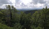 Randonnée Marche Deluz - Deluz, chapelle d'Aigremont - croix de Souvance - Photo 5