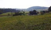 Trail On foot Affoltern am Albis - Sunnenbüel - Türlen - Photo 4