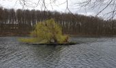 Tour Wandern Tervuren - 2020-03-15 - Tervuren - Étangs de Vossem - Photo 15